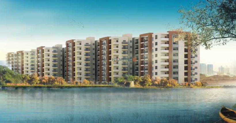 Mittal Palms-cover-06